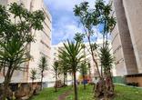 Apartamento, 2 Quartos, 1 Vaga