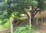 Lote, 3 Vagas